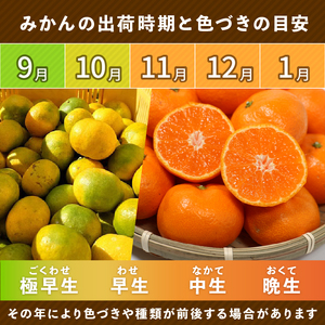 訳あり 家庭用 愛媛 みかん 5kg 国産みかん 温州みかん 柑橘 果物 フルーツ 甘いみかん おすすめみかん 愛媛県 愛南町 清家ばんかんビレッジ