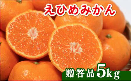 みかん 贈答用 5kg みかん 