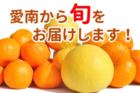 清家ばんかんビレッジ旬の柑橘詰め合わせ5kg まどんな みかん 蜜柑