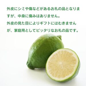 訳あり レモン （ グリーンレモン ） 5kg りのか 武田屋