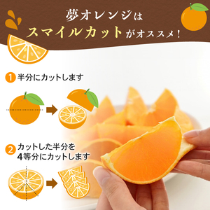 【紅まどんなと同品種】【訳あり】 夢おれんじ まどんな 5kg 小粒っ子 武田屋