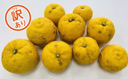 訳あり 柚子 5kg 訳あり ゆず 柚子 訳あり 柑橘 果物 訳あり 国産 ゆず 柚子 訳あり フルーツ 有名 訳あり 愛媛 ゆず 訳あり 柚子 みかん 訳あり 職人 武田屋 訳あり 蜜柑 ゆず 柚子 ブランド 大小 ミックス サイズ ゆず 柚子 愛媛県産 果実 ビタミン ゆず 柚子 美味しい 生産者 直送 産直 みかん職人武田屋