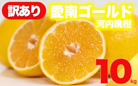 訳あり 愛南ゴールド 10kg  河内晩柑 愛南ゴールド