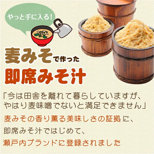 味噌 フリーズドライ 味噌汁 【11個入】