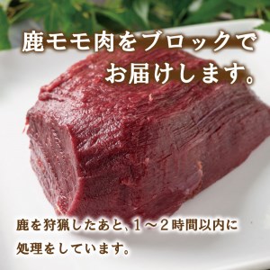 ジビエ 肉 鹿 モモ 肉 1kg 大容量 ステーキ 焼肉 生姜 焼き ごはんのお供 ペット 低カロリー 高たんぱく 低脂質 ダイエット プロテイン 愛媛 愛南