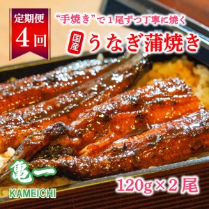 【 うなぎの蒲焼 】 うなぎの蒲焼 4回 定期便