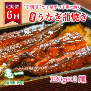 定期便 6ヶ月 国産 うなぎ 鰻 蒲焼 蒲焼き かば焼き120g 2本 うなぎ 土用 丑の日 老舗 亀一 うなぎ 特製 タレ 真空パック ひつまぶし うなぎ ギフト 贈答 冷凍 お取り寄せ ｳﾅｷﾞ ｳﾅｷﾞ ｳﾅｷﾞ ｳﾅｷﾞ ｳﾅｷﾞ ｳﾅｷﾞ ｳﾅｷﾞ ｳﾅｷﾞ ｳﾅｷﾞ ｳﾅｷﾞ ｳﾅｷﾞ ｳﾅｷﾞ ｳﾅｷﾞ ｳﾅｷﾞ ｳﾅｷﾞ ｳﾅｷﾞ ｳﾅｷﾞ ｳﾅｷﾞ ｳﾅｷﾞ ｳﾅｷﾞ ｳﾅｷﾞ ｳﾅｷﾞ ｳﾅｷﾞ ｳﾅｷﾞ ｳﾅｷﾞ ｳﾅｷﾞ ｳﾅｷﾞ ｳﾅｷﾞ ｳﾅｷﾞ ｳﾅｷﾞ ｳﾅｷﾞ ｳﾅｷﾞ ｳﾅｷﾞ ｳﾅｷﾞ ｳﾅｷﾞ ｳﾅｷﾞ ｳﾅｷﾞ ｳﾅｷﾞ ｳﾅｷﾞ ｳﾅｷﾞ ｳﾅｷﾞ ｳﾅｷﾞ ｳﾅｷﾞ ｳﾅｷﾞ ｳﾅｷﾞ ｳﾅｷﾞ ｳﾅｷﾞ ｳﾅｷﾞ ｳﾅｷﾞ ｳﾅｷﾞ ｳﾅｷﾞ ｳﾅｷﾞ ｳﾅｷﾞ ｳﾅｷﾞ ｳﾅｷﾞ ｳﾅｷﾞ ｳﾅｷﾞ ｳﾅｷﾞ ｳﾅｷﾞ ｳﾅｷﾞ ｳﾅｷﾞ ｳﾅｷﾞ ｳﾅｷﾞ ｳﾅｷﾞ ｳﾅｷﾞ ｳﾅｷﾞ ｳﾅｷﾞ ｳﾅｷﾞ ｳﾅｷﾞ うなぎ お祝い