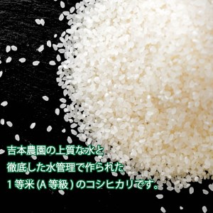 令和 5年 新米 6.5kg 吉本農園 米 お米 おこめ 白米 国産 コシヒカリ ブランド 炊きたて 冷めても 美味しい 旨味 甘み 愛媛県 愛南町 産 産地 直送 産直