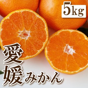 愛媛 みかん 蜜柑 5kg フルーツ 果物 くだもの 柑橘 贈答 ギフト 特選 数量 限定 お菓子 スイーツ だいふく 大福 ケーキ ジュース 国産 愛南