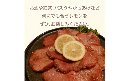 レモン 約 1.5kg 12個  愛媛県 愛南町 フルーツアイランド マルエム直販 【レモン】 
