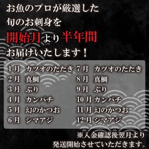 定期便 6回 刺身 鮮魚 冷凍 真空 パック 旬 かつお タイ ブリ スマ シマアジ カンパチ 高級魚 鰤 鰹 鯛 縞鯵 勘八 新鮮 天然 養殖 愛南町 愛媛県 （定期便 6回 刺身定期便 鮮魚定期便 おさかな定期便 旬 定期便 ）鯛 刺し身 鯛 刺し身 鯛 刺し身 鯛 刺し身 鯛 刺し身 鯛 刺し身 鯛 刺し身 鯛 刺し身 鯛 刺し身 鯛 刺し身 鯛 刺し身 鯛 刺し身 鯛 刺し身 鯛 刺し身 鯛 刺し身 鯛 刺し身 鯛 刺し身 鯛 刺し身 鯛 刺し身 鯛 刺し身 鯛 刺し身 鯛 刺し身 鯛 刺し身 鯛 刺し身 鯛 刺し身 鯛 刺し身 鯛 刺し身 鯛 刺し身 鯛 刺し身 鯛 刺し身 鯛 刺し身 鯛 刺し身 鯛 刺し身 鯛 刺し身 鯛 刺し身 鯛 刺し身 鯛 刺し身 鯛 刺し身 鯛 刺し身 鯛 刺し身 鯛 刺し身 鯛 刺し身 鯛 刺し身 鯛 刺し身 鯛 刺し身 鯛 刺し身 鯛 刺し身