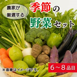 野菜 詰め合わせ セット 6～8種 緑新鮮市 キャベツ 人参 にんじん