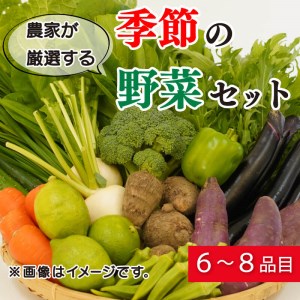 人気 野菜セットB キャベツ5玉・新たまねぎ・新じゃがいも・にんじん約