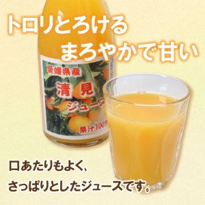オレンジ ジュース 720ml × 4本 ジュース
