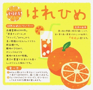 訳あり 晴姫 はれひめ 5kg 配送期間 12月上旬～なくなり次第終了 はれひめ 柑橘 訳あり美味しい柑橘 訳あり愛媛の柑橘 訳ありみかん  愛媛県 愛南町 みかん職人武田屋