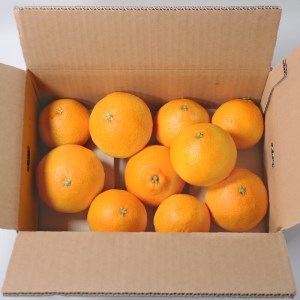 【紅まどんなと同品種】【訳あり】愛南まどんな3kg 山口農園 