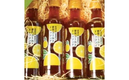 愛南ゴールド ドレッシング 190ml × 4本 セット 柑橘類 河内晩柑 みかん 調味料 道の駅みしょうMIC 人気 愛媛県 愛南町みかん 人気 愛媛県 愛南町 愛南総研 道の駅MIC