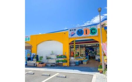 愛南ゴールド ドレッシング 190ml × 4本 セット 柑橘類 河内晩柑 みかん 調味料 道の駅みしょうMIC 人気 愛媛県 愛南町みかん 人気 愛媛県 愛南町 愛南総研 道の駅MIC