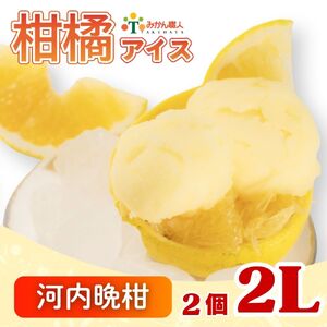 アイス 河内晩柑 1000ml × 2 アイス 武田屋 河内晩柑