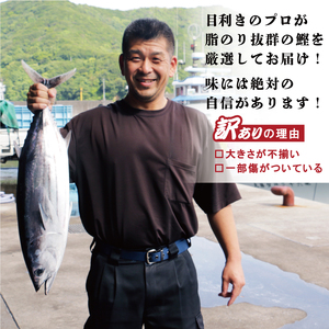 訳あり かつおのたたき 3kg 冷凍かつお 一本釣り鰹 人気かつおのたたき カツオタタキ かつおたたき 鰹のたたき 鰹タタキ 愛媛県 愛南町 ハマスイ