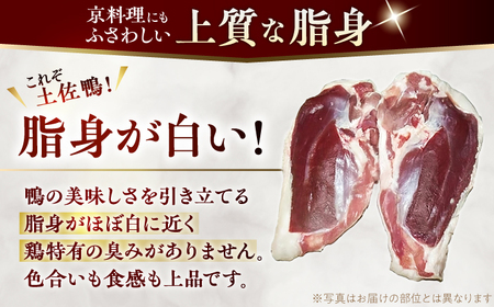 土佐鴨 セセリ (フレッシュ冷蔵) 約1kg 土佐鴨 土佐ジロー飼育研究会 【グレイジア株式会社】 [ATAC588]