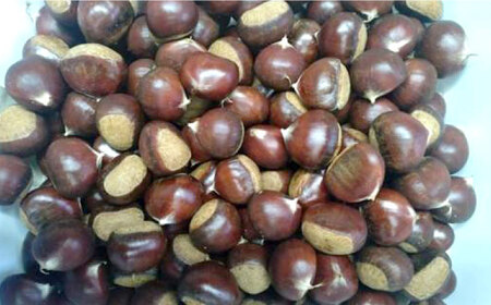 【先行予約】ほくほくと甘い熟成した夢甘栗 高級生栗＜秀品規格＞ 約1kg (約50個前後) 〈2026年10月から発送〉 【仁淀川流域夢甘栗生産者組合 くり蔵】 [ATDR002]