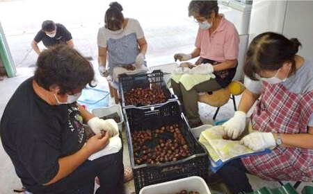 【先行予約】ほくほくと甘い熟成した夢甘栗 高級生栗＜秀品規格＞ 約1kg (約50個前後) 〈2026年10月から発送〉 【仁淀川流域夢甘栗生産者組合 くり蔵】 [ATDR002]