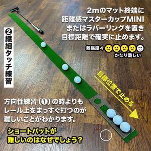 タッチがわかるパット練習レール 2枚組 (標準 高速) 工房製 【パターマット工房PROゴルフショップ】 [ATAG053]