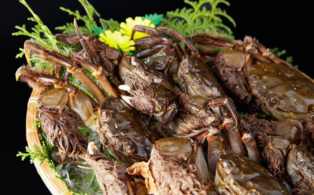 【期間・数量限定】浦戸湾育ちの天然ツガニ（モクヅガニ）【土佐の廣丸】[ATAL002]