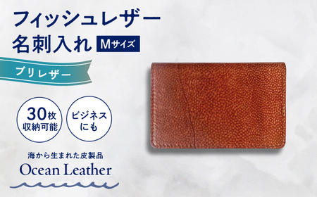 【Chestnut】Ocean Leather 名刺入れ〈ブリ〉サイズ【興洋フリーズ株式会社】 [ATBX084-03]