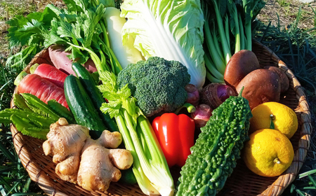 【4回定期便】【訳あり】高知県産 土佐季節の野菜詰め合せセット/3ヵ月に1回 野菜 定期 お野菜 高知 やさい 季節もの【香稜苑】[ATBQ010] 訳あり 不揃い 規格外 支援 支援品