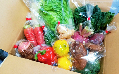 【12回定期便】【訳あり】高知県産 土佐季節の野菜詰め合せセット/ 野菜 定期 高知【香稜苑】[ATBQ012] 