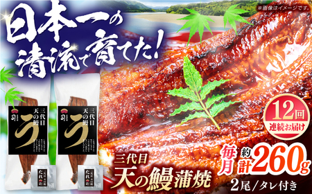【12回定期便】三代目天の鰻蒲焼 2尾 / 鰻 鰻蒲焼 鰻蒲焼き 鰻 鰻蒲焼 鰻蒲焼き[ATAD062]