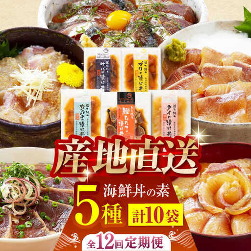 【12回定期便】土佐の海鮮丼の素 5種各2袋 (合計10袋セット) 【株式会社 四国健商】[ATAF097]
