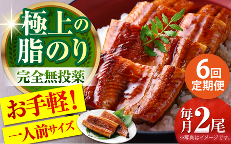 【6回定期便】高知県産 うなぎ蒲焼き 約90g×2尾 タレ付き 【株式会社 四国健商】[ATAF147]