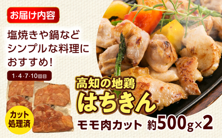 【12回定期便】高知の肉定期便〈はちきん地鶏・土佐あかうし・ハンバーグ〉大容量セット【合同会社土佐あぐりーど】[ATBO037]