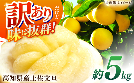 【先行予約】高知県産 訳あり 土佐文旦 約5kg 〈2026年2月~発送〉文旦 傷 文旦 シミの訳あり文旦 大容量 ぶんたん 文旦 訳あり わけあり 果物 【株式会社　四国健商】[ATAF149] 支援 支援品