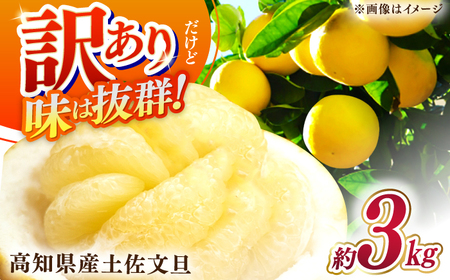 【先行予約】高知県産 訳あり 土佐文旦 約3kg 〈2026年2月~発送〉 / ぶんたん ブンタン 文旦 訳あり わけあり 訳アリ 傷 シミ 大容量 季節限定 期間限定 旬 果物 フルーツ みかん 柑橘 高知 土佐 特産品 【株式会社　四国健商】[ATAF151]