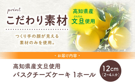 文旦バスクチーズケーキ 絵本作家柴田ケイコさんデザイン キャラクターステッカー3枚付き 直径12cm (1ホール) / 冷凍 チーズケーキ チーズ ケーキ 手作り スイーツ デザート【菓子工房レネー】[ATDE006]