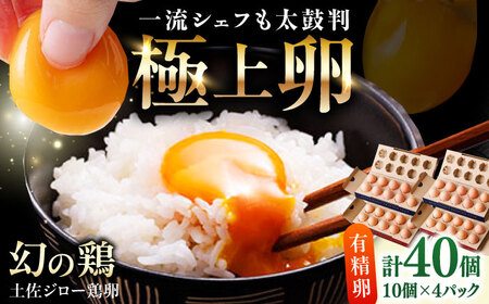 土佐ジロー鶏卵 40個 （10個×4パック）/ 高知 土佐 土佐ジロー 卵 たまご 玉子 鶏卵 卵焼き たまご焼き 玉子焼き 目玉焼き 生卵 卵かけご飯 TKG ギフト 贈り物 【とさやま養鶏場】[ATHB002]