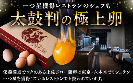 土佐ジロー鶏卵 40個 （10個×4パック）/ 高知 土佐 土佐ジロー 卵 たまご 玉子 鶏卵 卵焼き たまご焼き 玉子焼き 目玉焼き 生卵 卵かけご飯 TKG ギフト 贈り物 【とさやま養鶏場】[ATHB002]