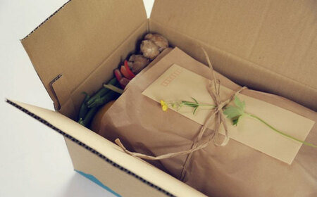 【24回定期便・月2回配送】 土佐の太陽をいっぱいに浴びた旬の野菜10?13品目と生姜約200gのセット / 高知 土佐 旬 野菜 生姜 詰め合わせ セット 仕送り 【土佐野菜】[ATBA017]