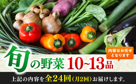【24回定期便・月2回配送】 土佐の太陽をいっぱいに浴びた旬の野菜セット「大」10?13品目 / 高知 土佐 旬 野菜 詰め合わせ セット 仕送り 【土佐野菜】[ATBA018]