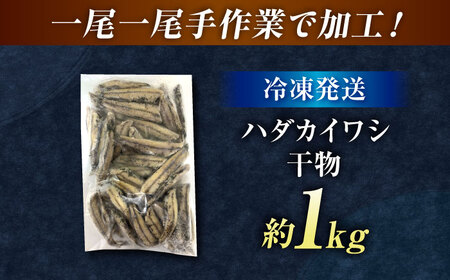 高知県産 ハダカイワシ干物 約1kg / 高知 ハダカイワシ イワシ いわし 魚 干物 冷凍 【ワクトフーズ】[ATHF001]