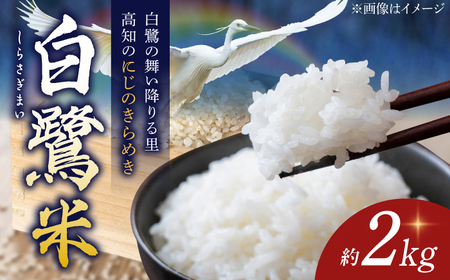 農薬節減！ R7年度産 特別栽培米 白鷺米 にじのきらめき 約2kg ＜2025年9月中旬~発送＞ / 高知 米 お米 精米　【津ノ宮農園】[ATBV003]