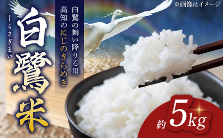 農薬節減！ R7年度産 特別栽培米 白鷺米 にじのきらめき 約5kg ＜2025年9月中旬から発送＞ / 高知 米 お米 精米 　【津ノ宮農園】[ATBV017]