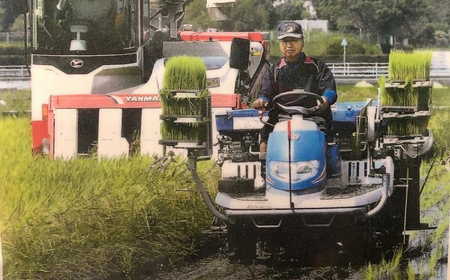 農薬節減！ R7年度産 特別栽培米 白鷺米 にじのきらめき 約5kg ＜2025年9月中旬から発送＞ / 高知 米 お米 精米 　【津ノ宮農園】[ATBV017]