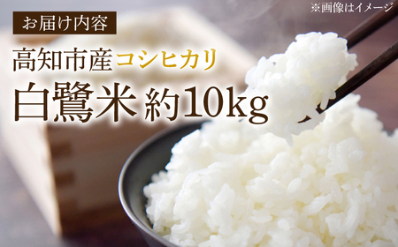 農薬節減！ R7年度産 特別栽培米 白鷺米 コシヒカリ 約10kg ＜2025年9月中旬?発送＞ / 高知 米 お米 精米　【津ノ宮農園】[ATBV020]