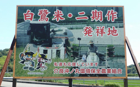 農薬節減！ R7年度産 特別栽培米 白鷺米 コシヒカリ 約10kg ＜2025年9月中旬?発送＞ / 高知 米 お米 精米　【津ノ宮農園】[ATBV020]