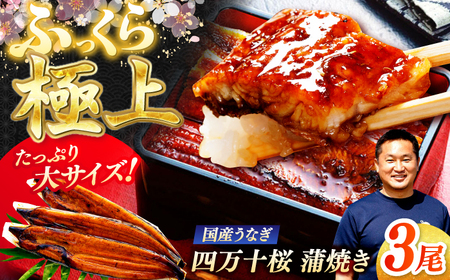 極上国産うなぎ四万十桜 蒲焼き3尾 たっぷり大サイズ / 国産 高知 四万十 うなぎ ウナギ 鰻 蒲焼き うな重 惣菜 贅沢 【有限会社もりた】[ATHE002]